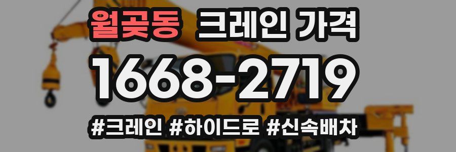 월곶동 크레인 가격