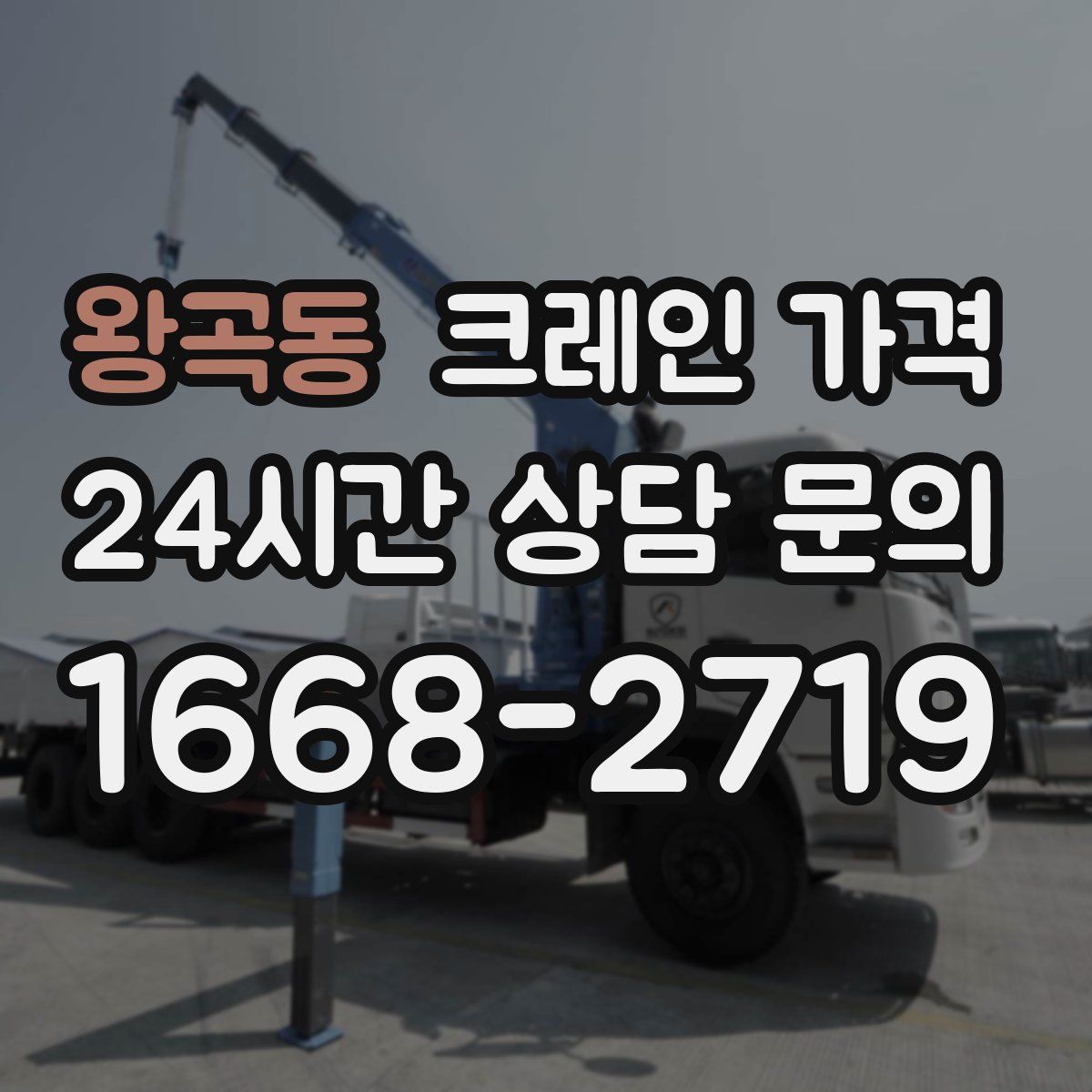 왕곡동 크레인 가격