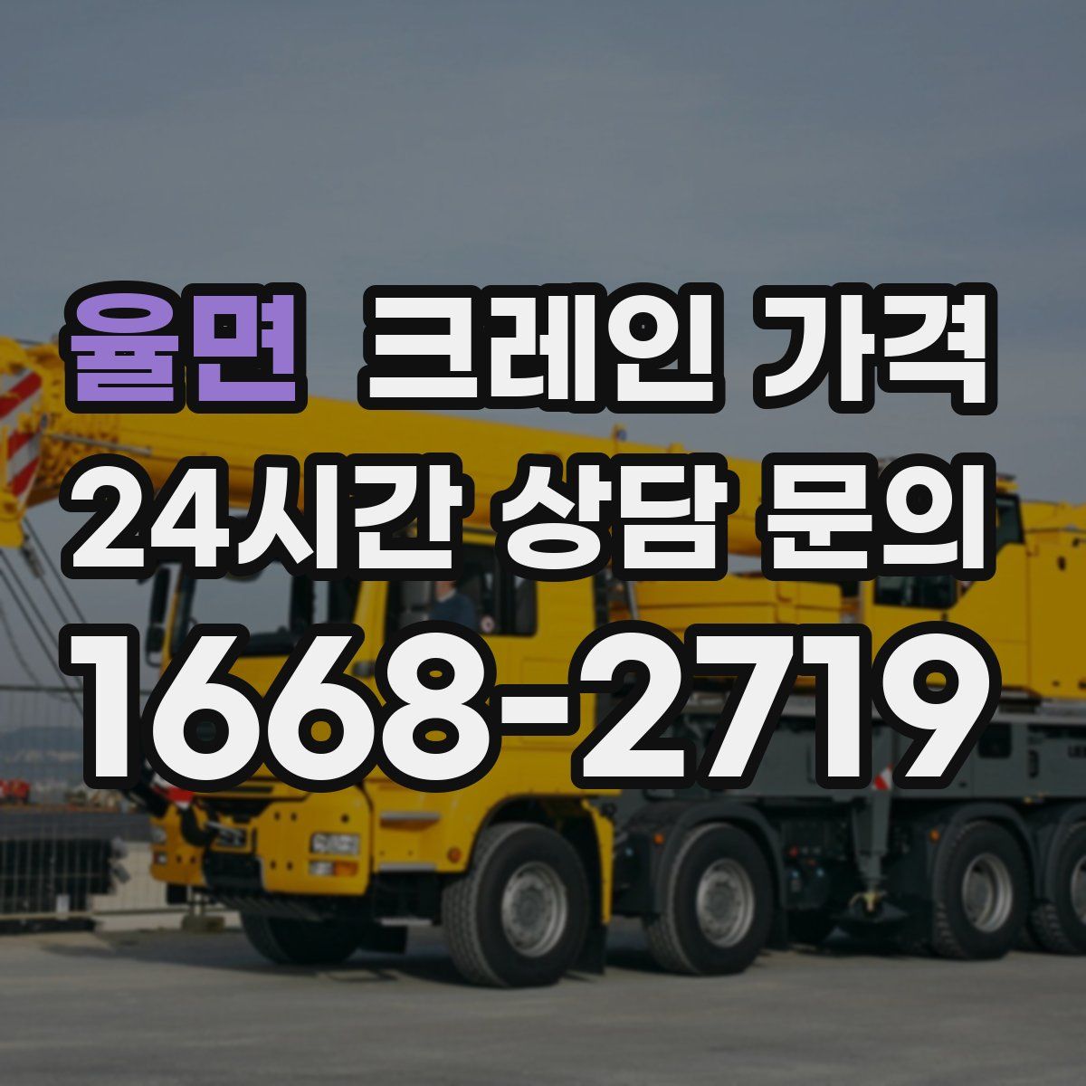 율면 크레인 가격