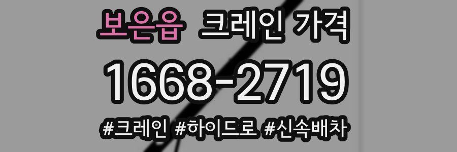보은읍 크레인 가격
