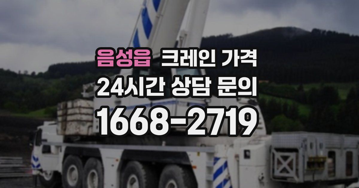 음성읍 크레인 가격