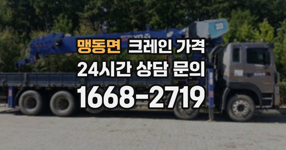 맹동면 크레인 가격