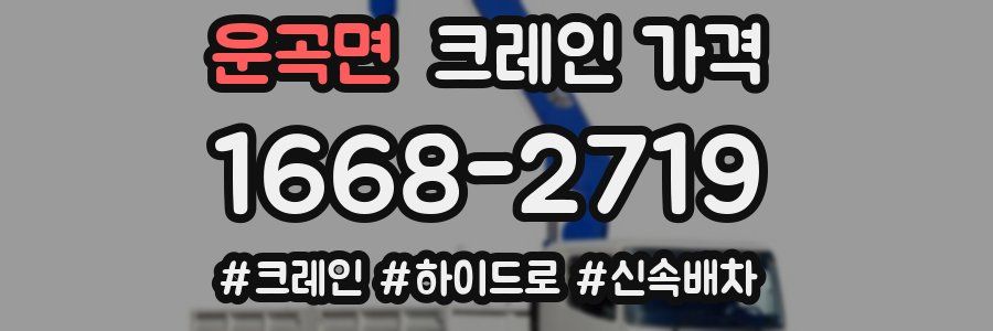 운곡면 크레인 가격