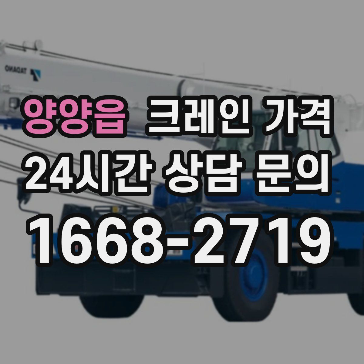 양양읍 크레인 가격