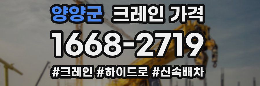 양양군 크레인 가격