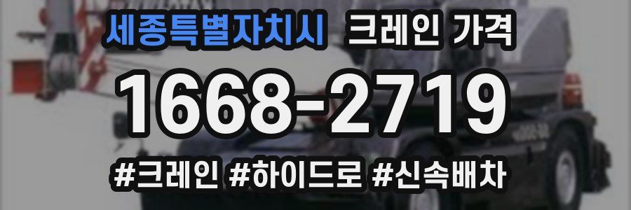 세종특별자치시 크레인 가격