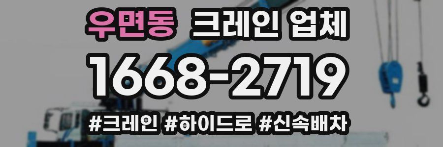우면동 크레인 업체