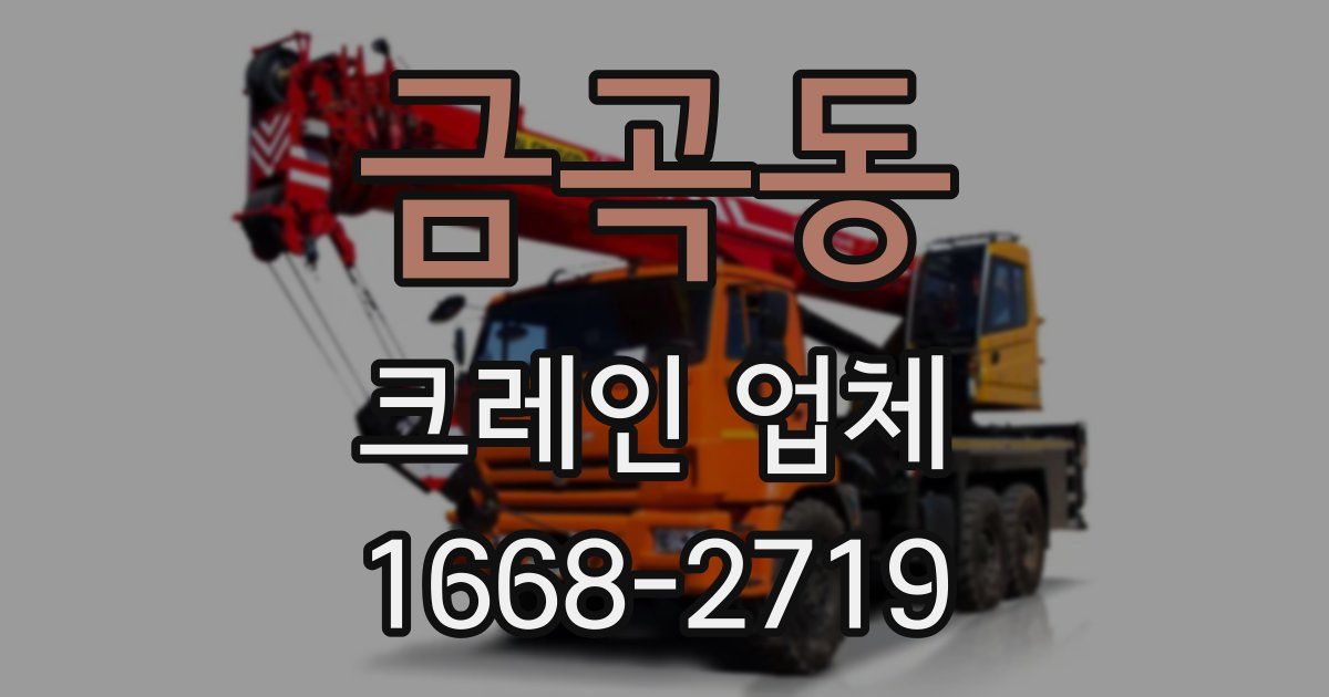금곡동 크레인 업체