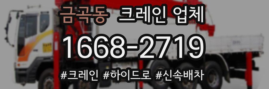 금곡동 크레인 업체