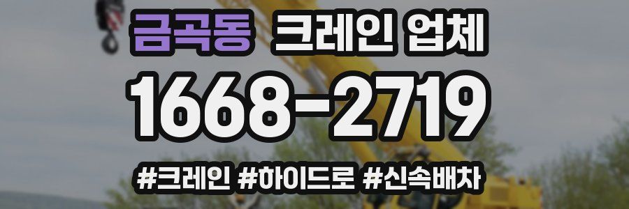 금곡동 크레인 업체