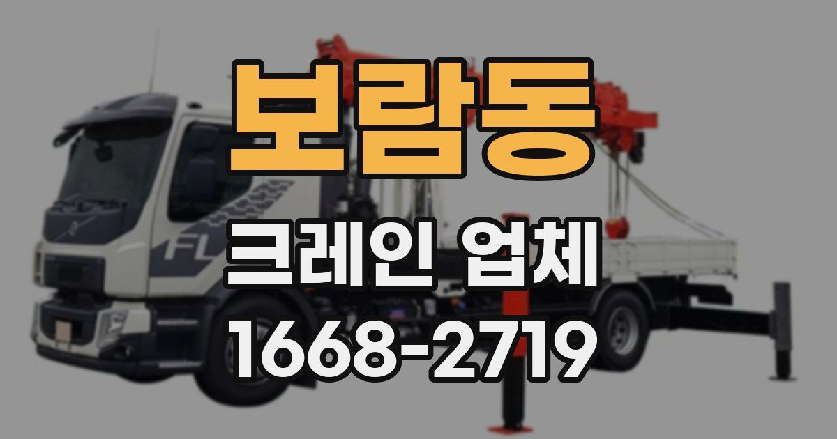 보람동 크레인 업체