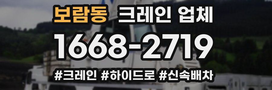 보람동 크레인 업체