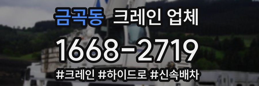 금곡동 크레인 업체