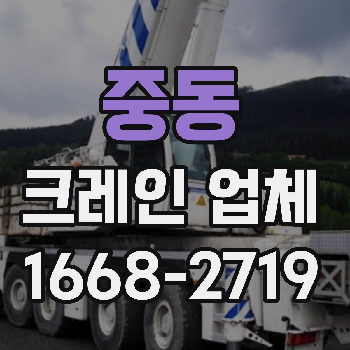 중동 크레인 업체 장비별 사용 상황 비교