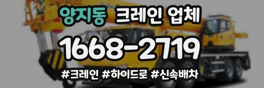 양지동 크레인 업체
