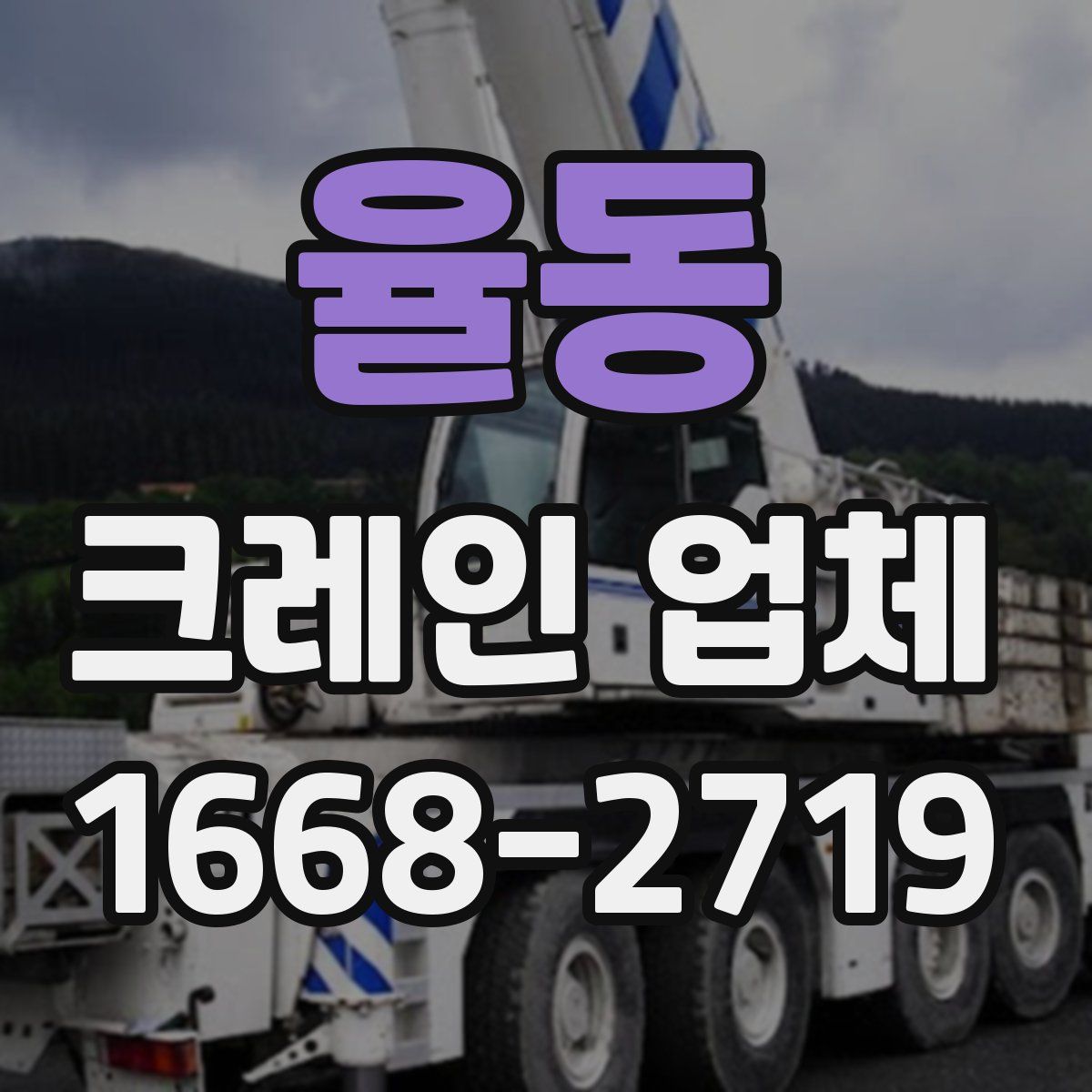 율동 크레인 업체