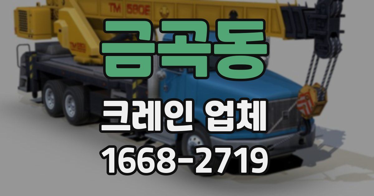 금곡동 크레인 업체