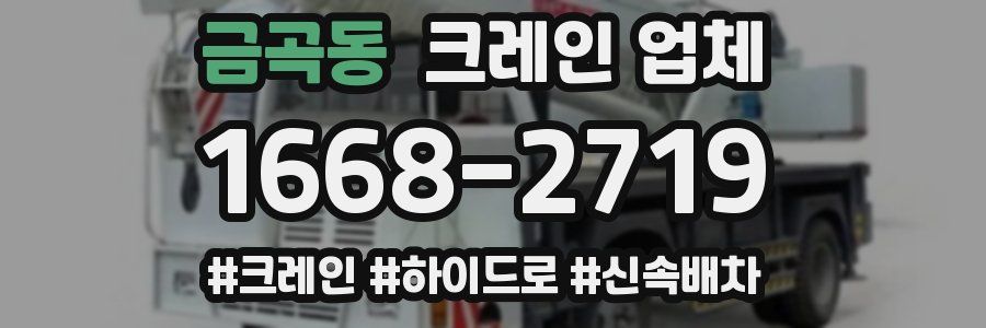 금곡동 크레인 업체