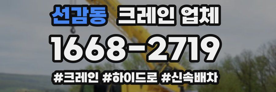 선감동 크레인 업체