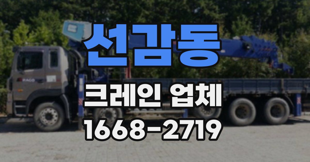 선감동 크레인 업체