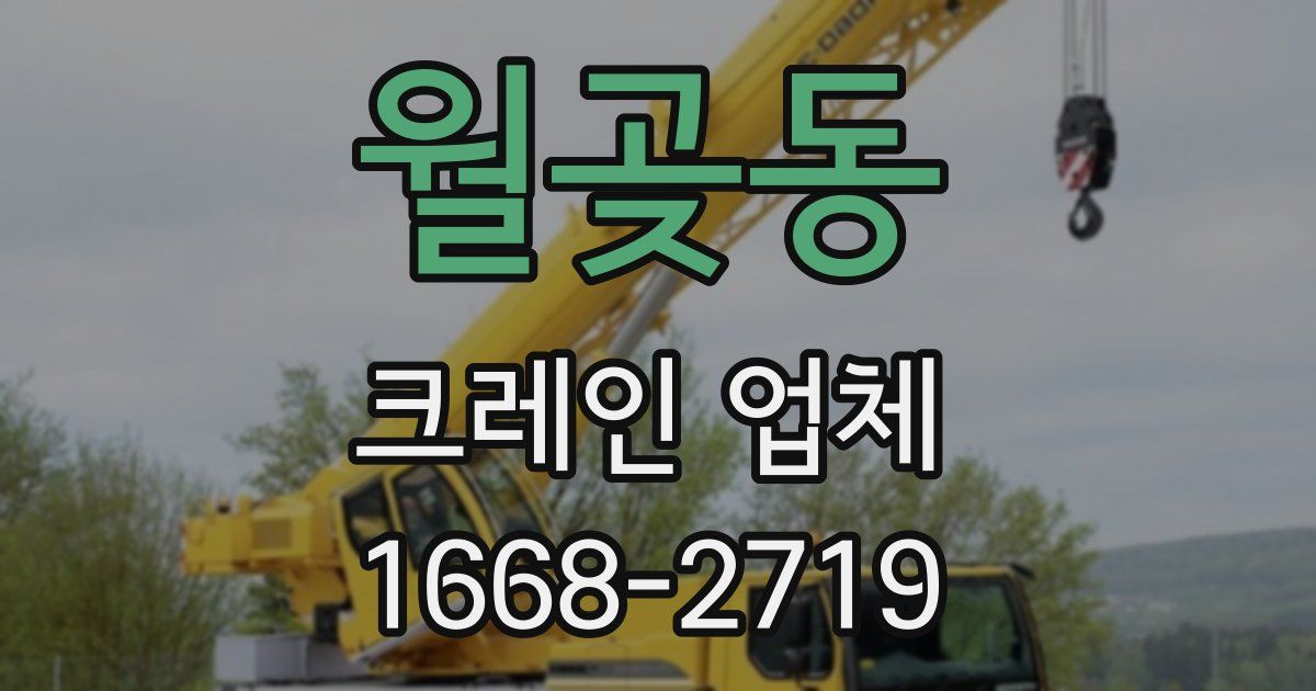 월곶동 크레인 업체