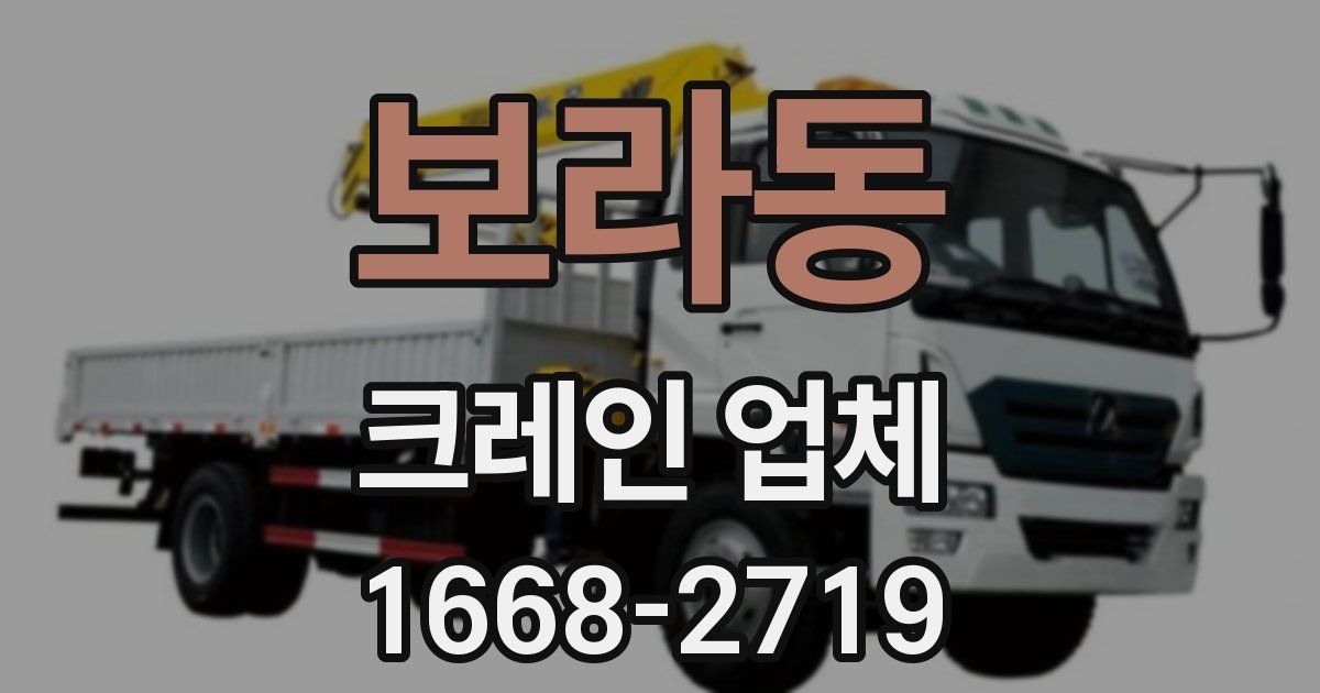 보라동 크레인 업체