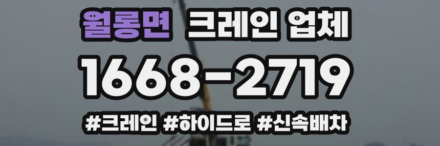 월롱면 크레인 업체