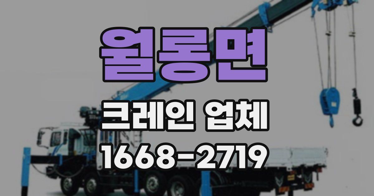 월롱면 크레인 업체