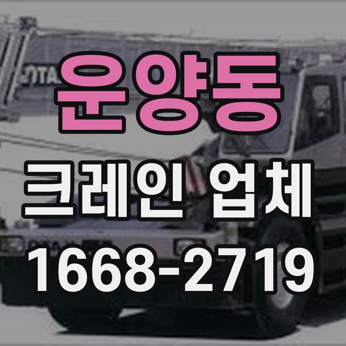 운양동 크레인 업체