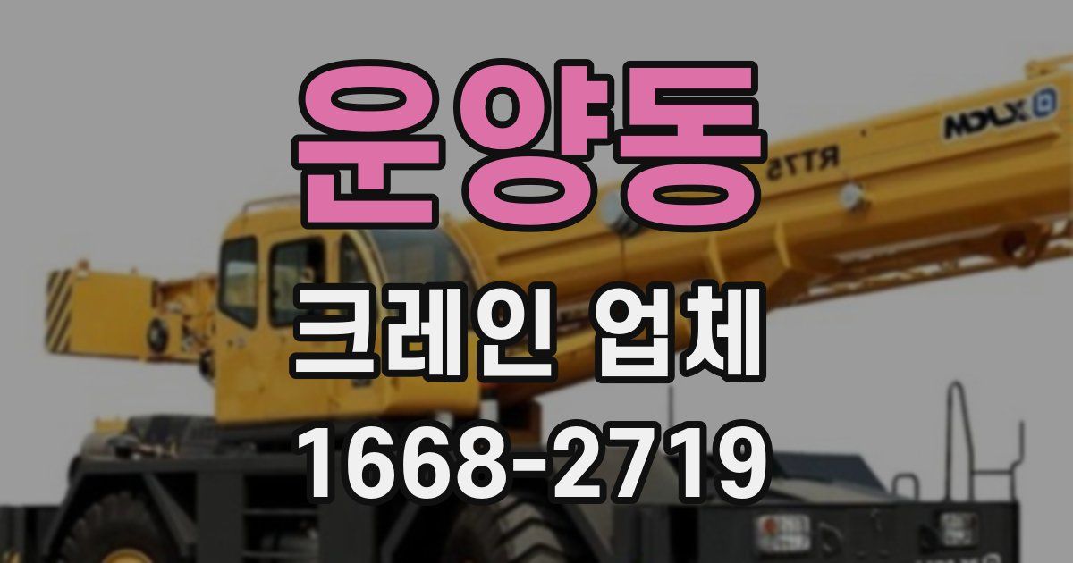 운양동 크레인 업체