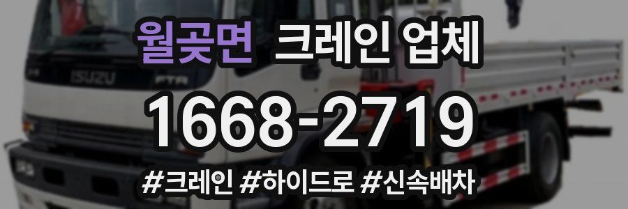 월곶면 크레인 업체