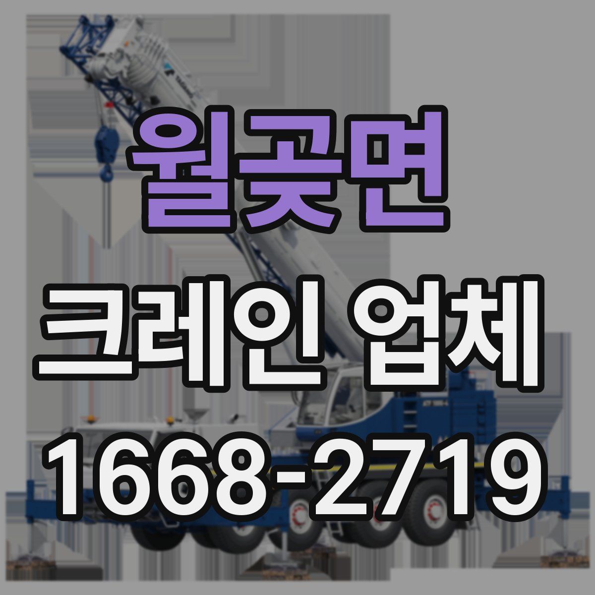 월곶면 크레인 업체