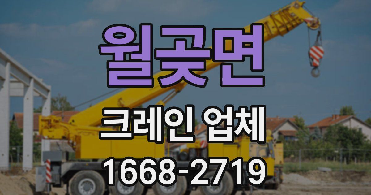 월곶면 크레인 업체