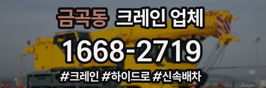 금곡동 크레인 업체