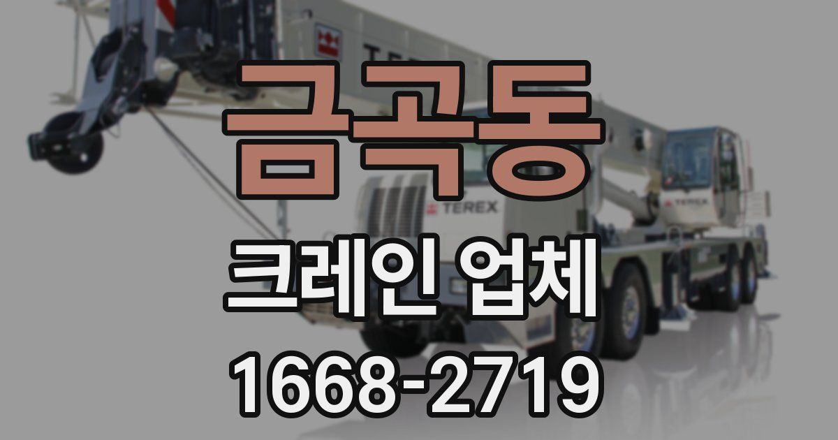 금곡동 크레인 업체