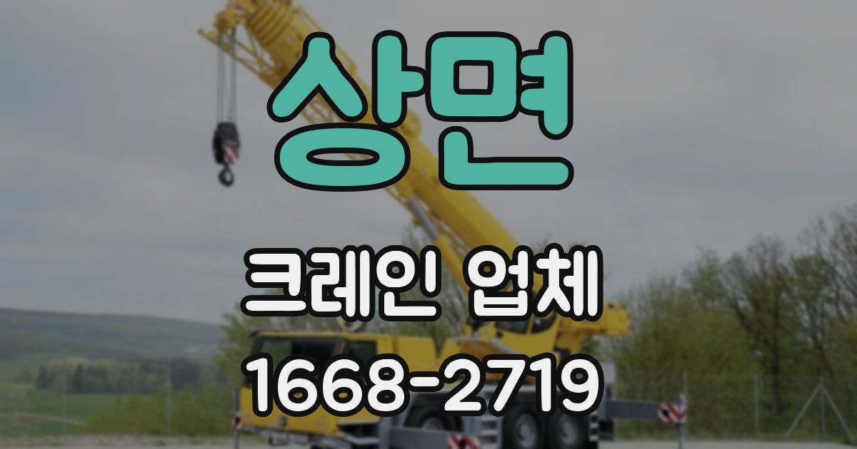 상면 크레인 업체