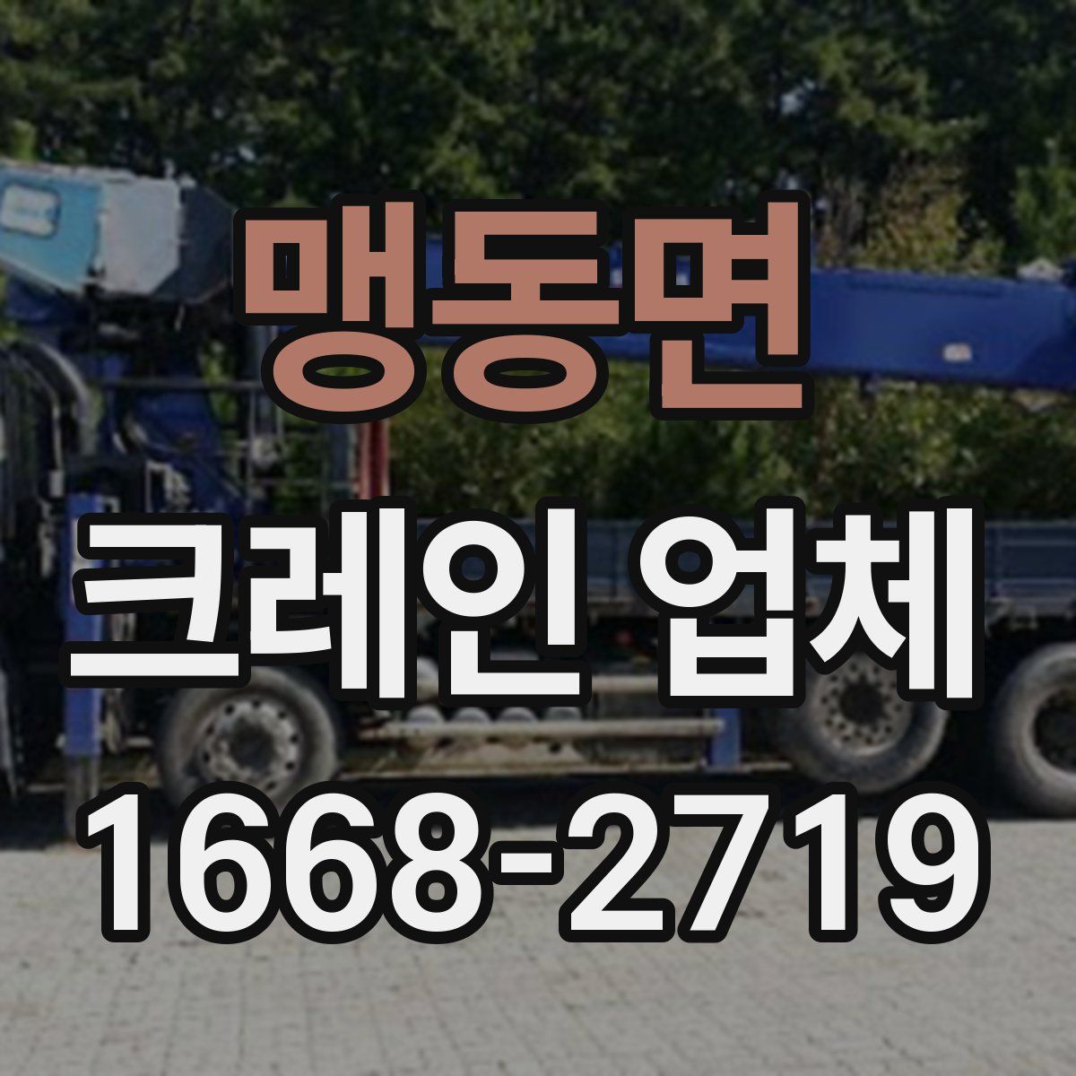 맹동면 크레인 업체