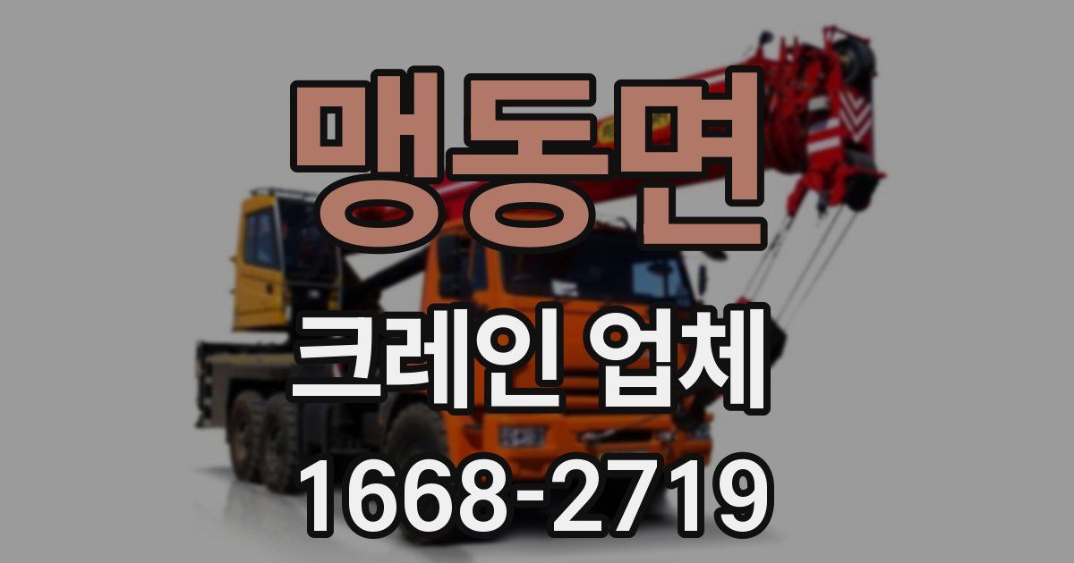 맹동면 크레인 업체