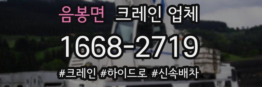 음봉면 크레인 업체