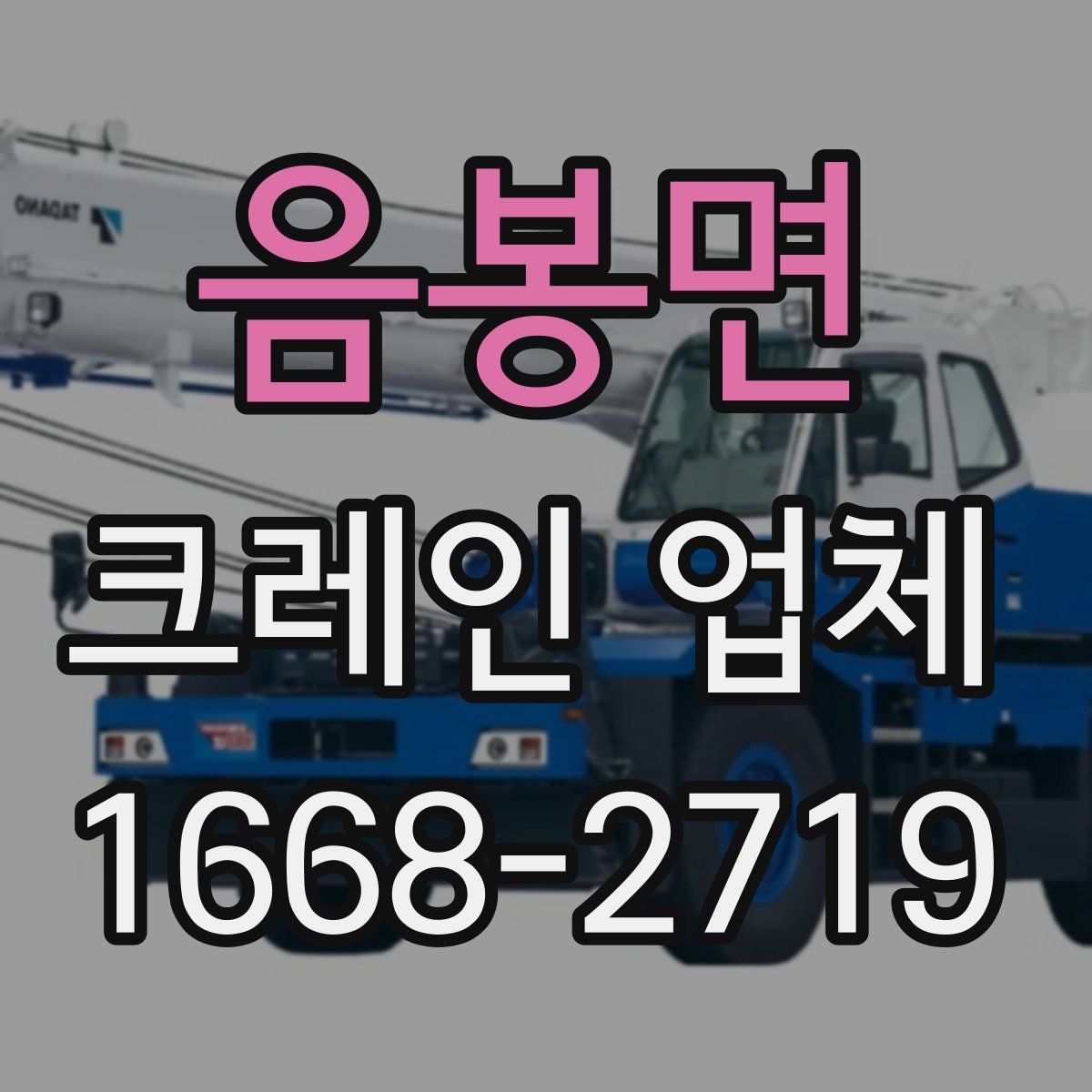 음봉면 크레인 업체