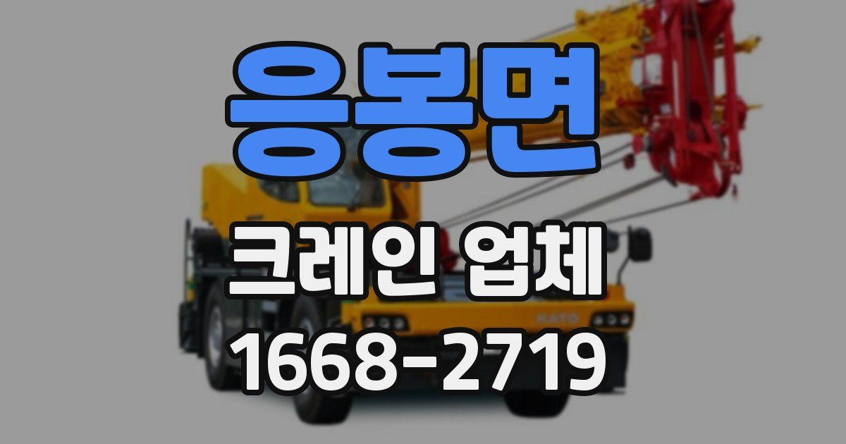 응봉면 크레인 업체