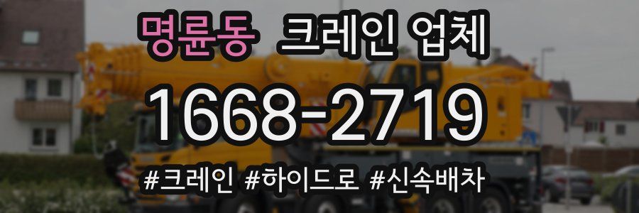 명륜동 크레인 업체