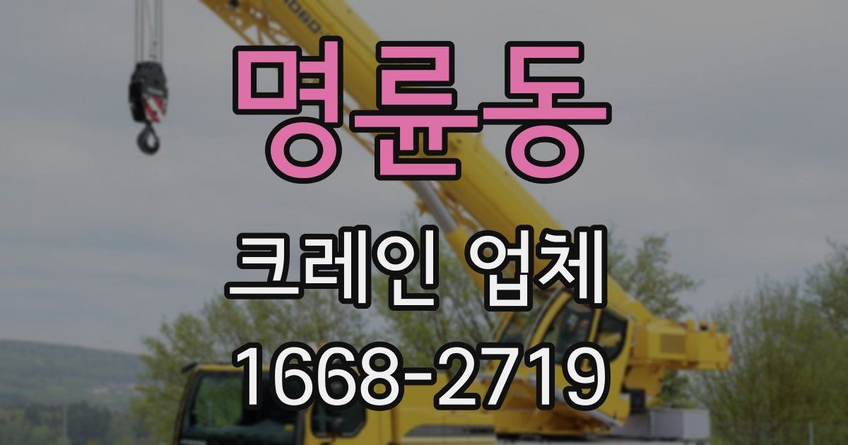 명륜동 크레인 업체