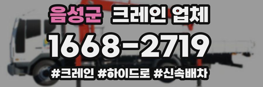 음성군 크레인 업체