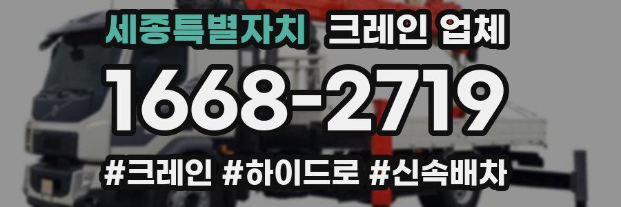세종특별자치 크레인 업체