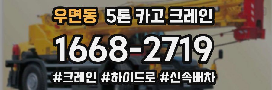우면동 5톤 카고 크레인