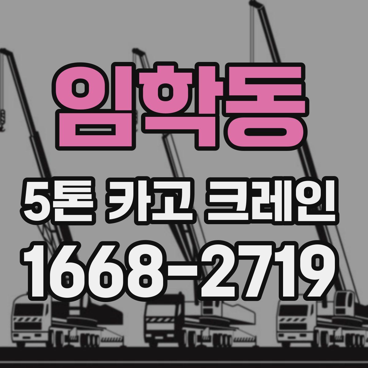 임학동 5톤 카고 크레인