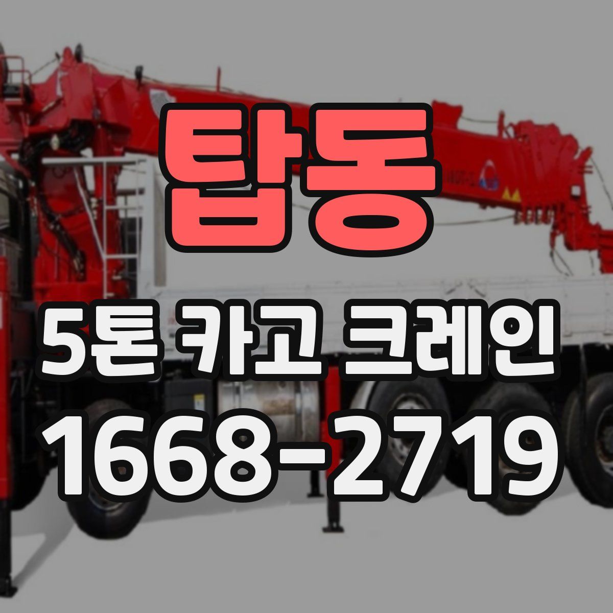 탑동 5톤 카고 크레인