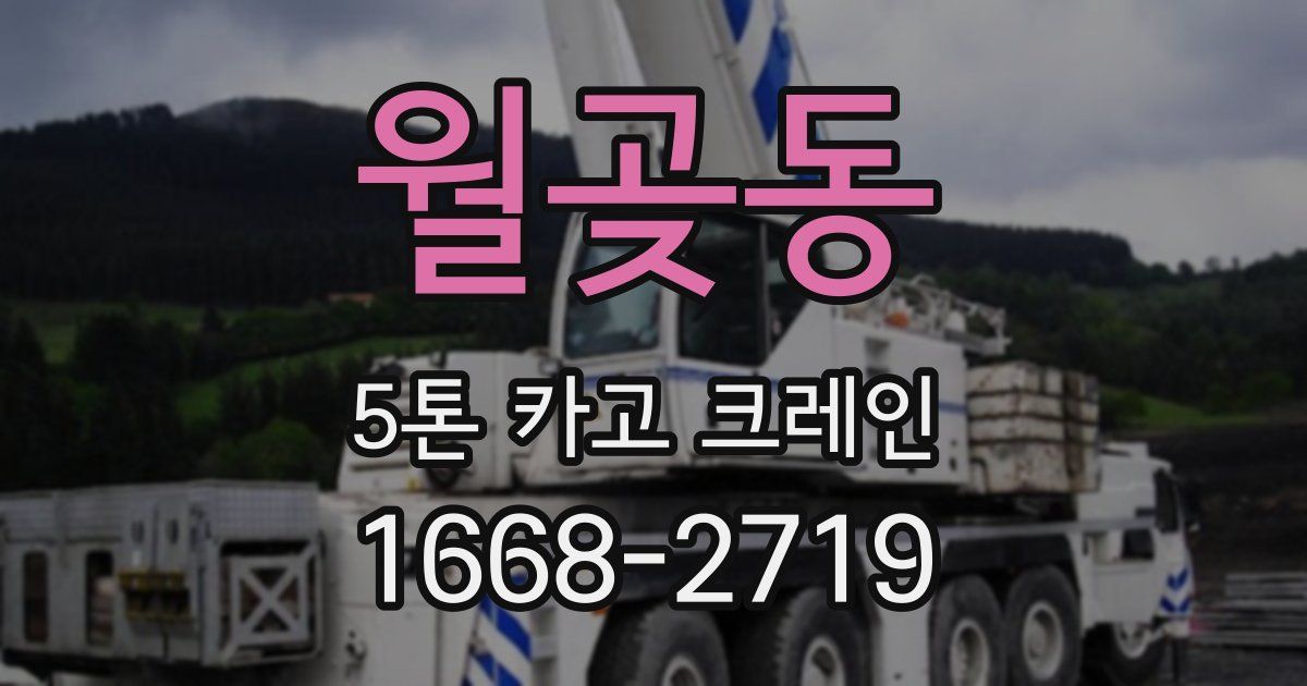 월곶동 5톤 카고 크레인