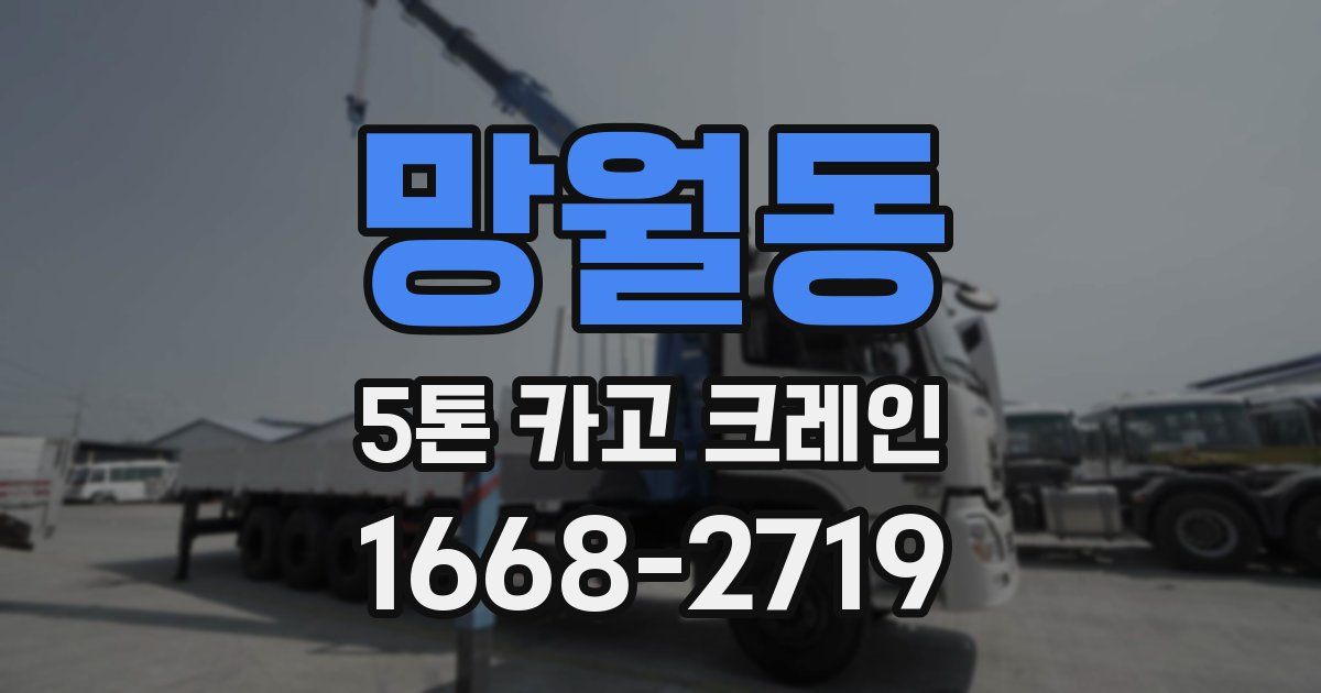 망월동 5톤 카고 크레인